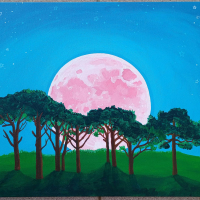 Rabbit Moon story